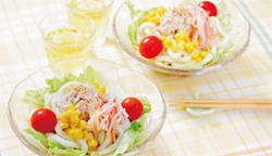 彩りサラダうどん