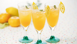 みかんサイダー|株式会社松源|レシピ みかんサイダー